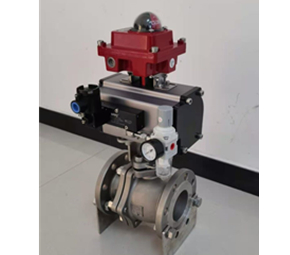 Pneumatic valve